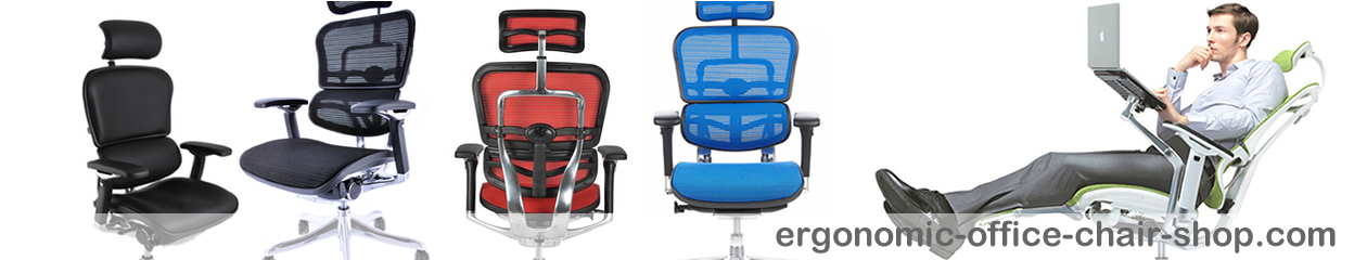 Ergonomic Office Chair Shop
