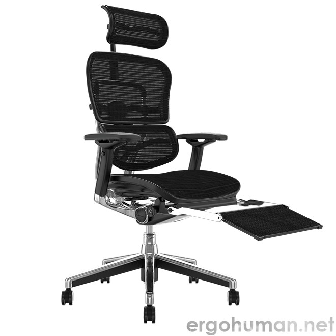 Ergohuman Elite Mesh Office Chair