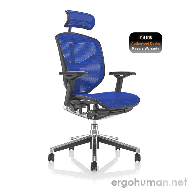 Enjoy Ergonomic Office Chair